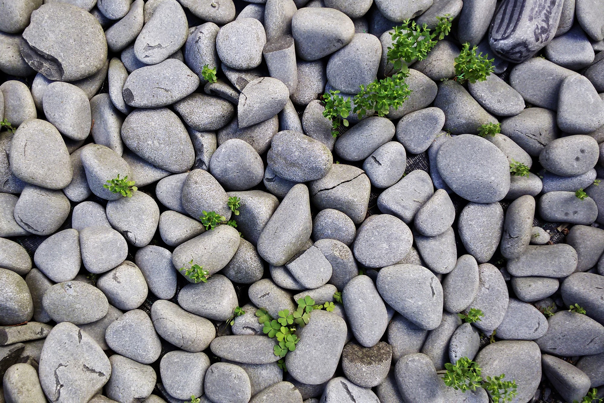 stones