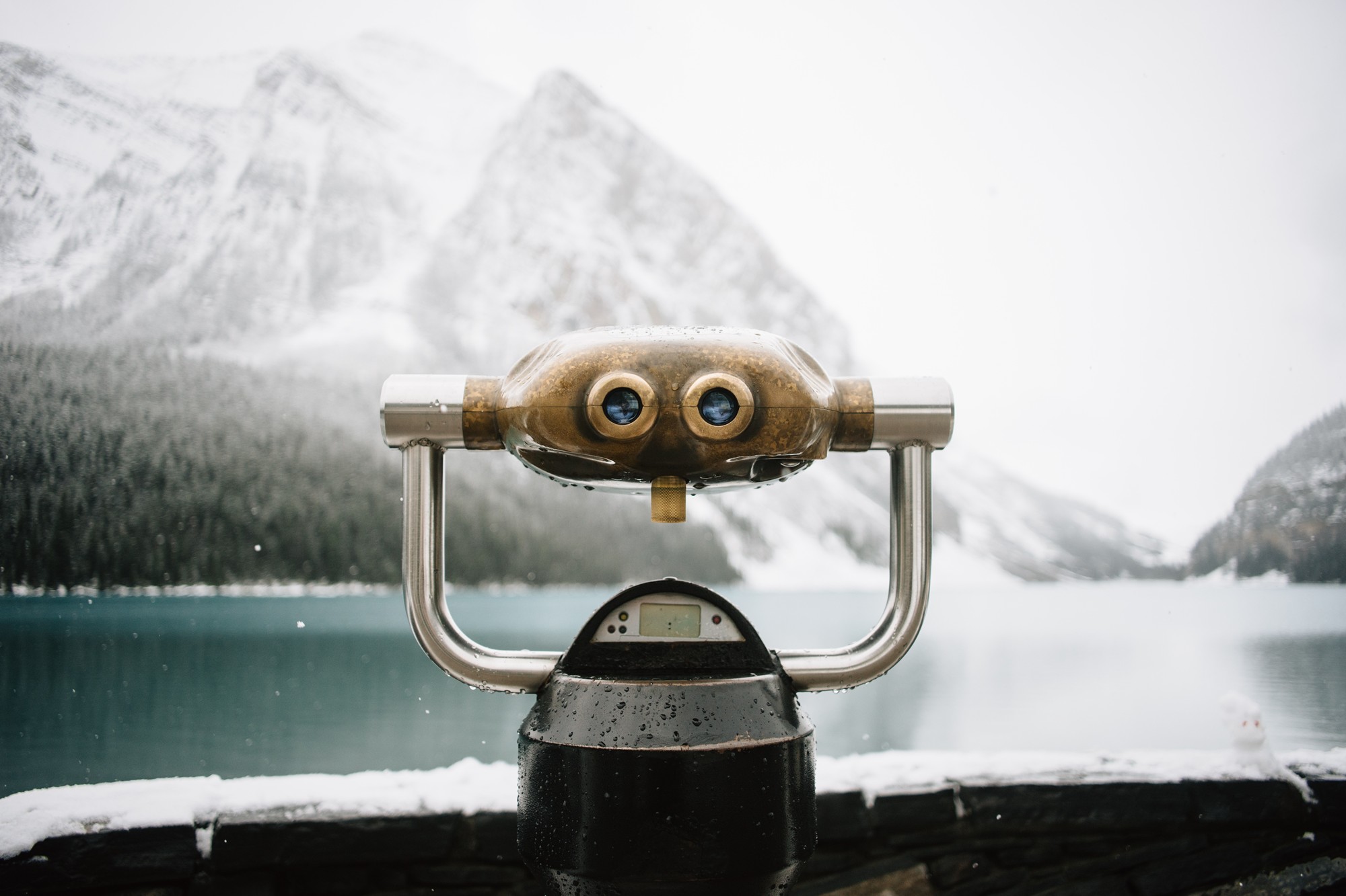 lookout binoculars
