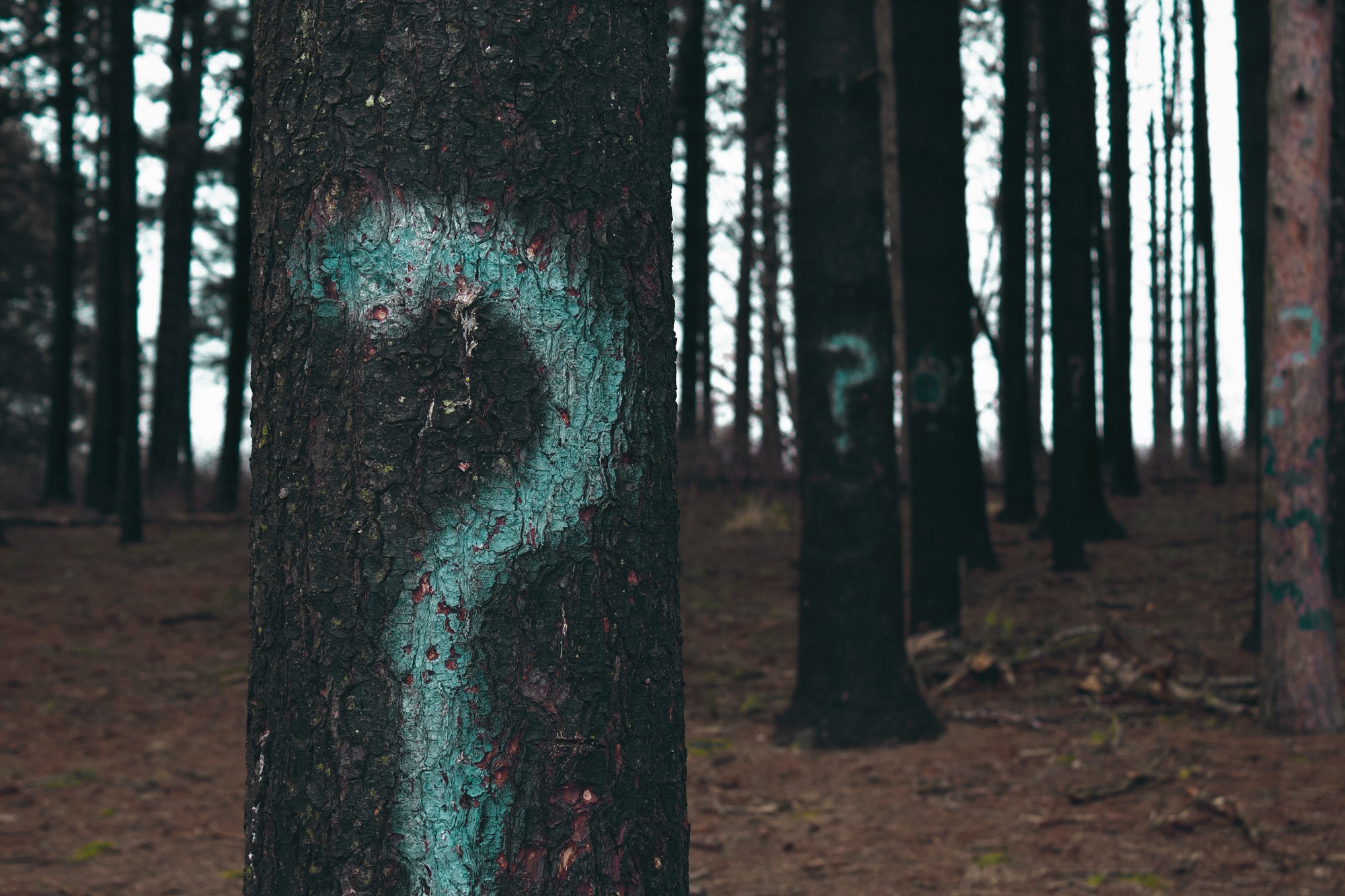 question mark
