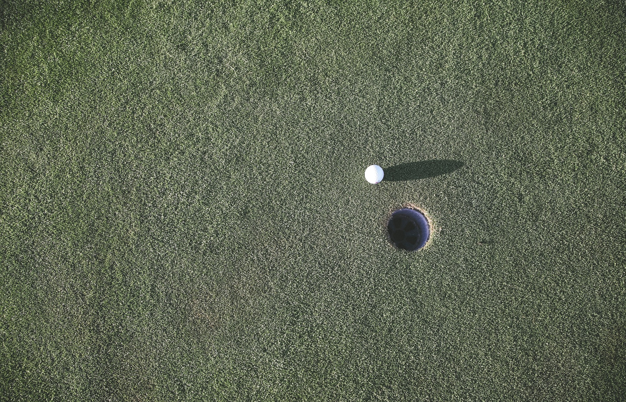 markus spiske 1142251 unsplash
